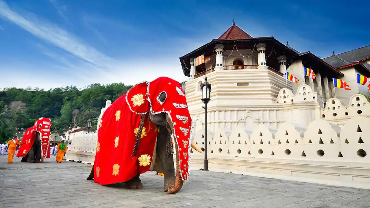 Kandy